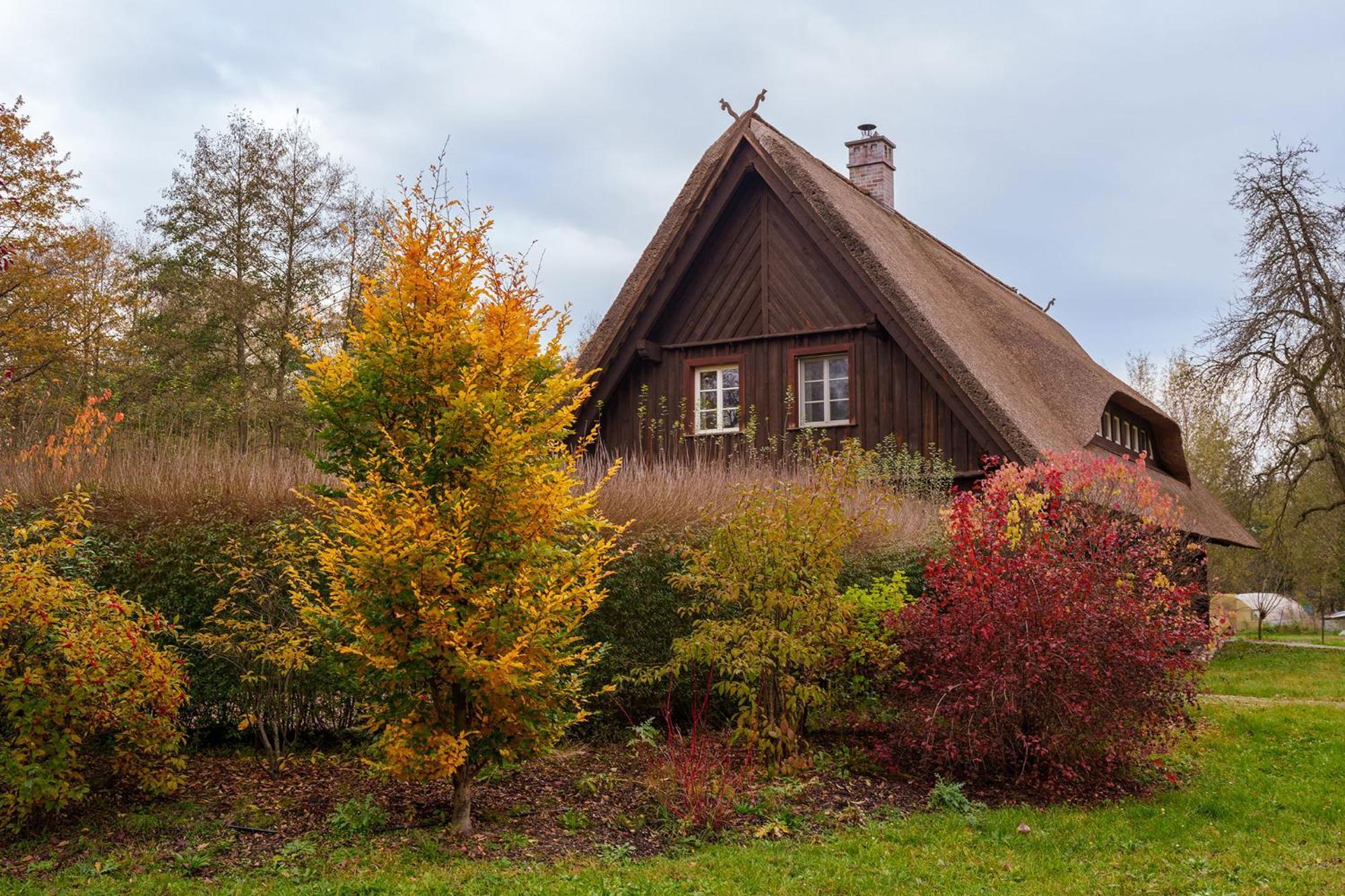 Вілла Exklusives Holzhaus Бург Екстер'єр фото